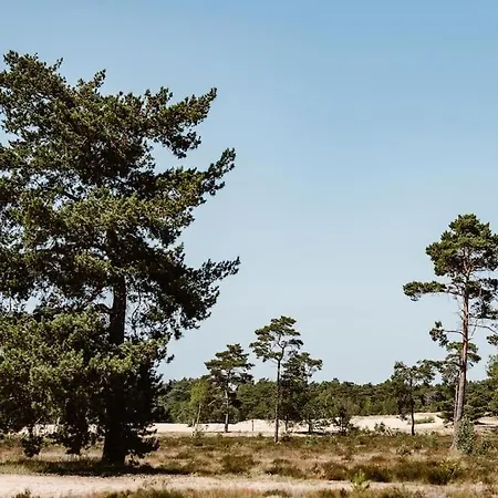 Appartement Forest With Lovely Garden & Sauna *