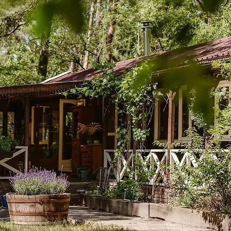 Forest With Lovely Garden & Sauna
