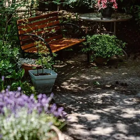 Apartment Forest With Lovely Garden & Sauna Doornspijk