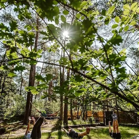 Forest With Lovely Garden & Sauna Apartment Doornspijk