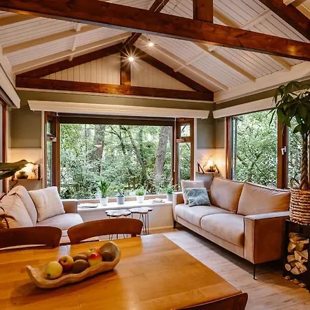 Forest With Lovely Garden & Sauna