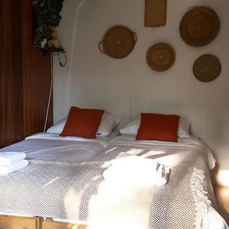 Forest With Lovely Garden & Sauna Apartment Doornspijk