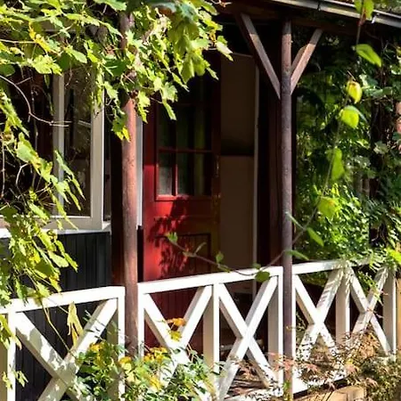 Forest With Lovely Garden & Sauna Apartment Doornspijk